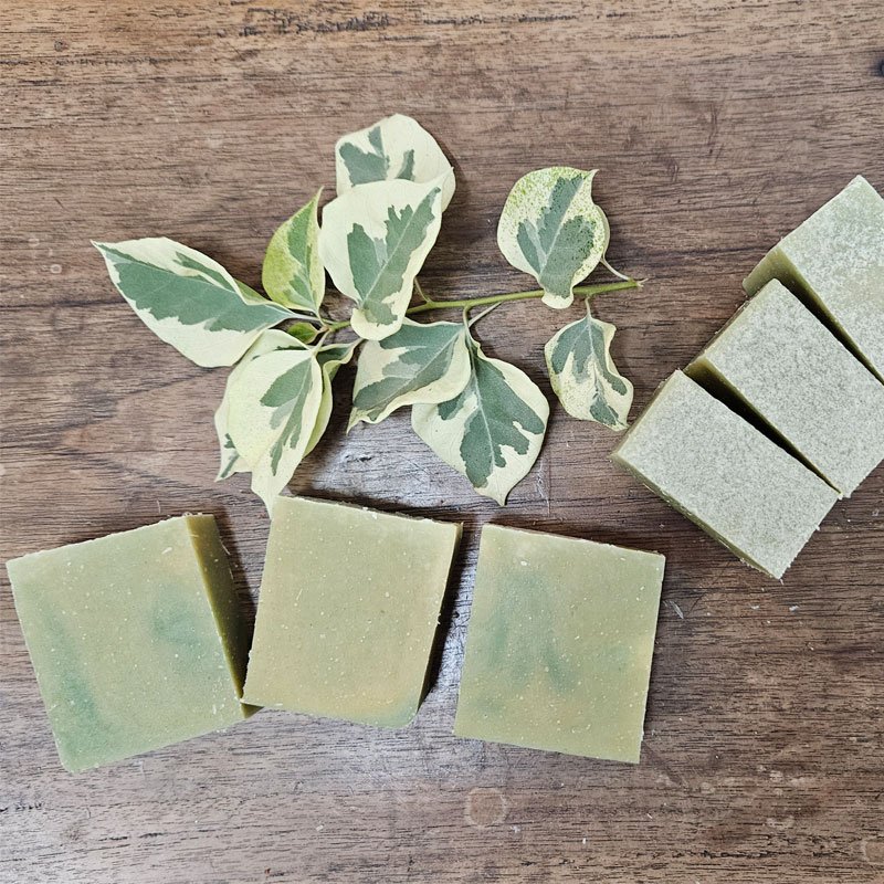 Natural Bamboo Extract Soap